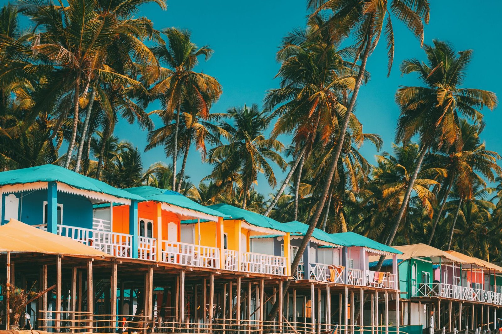 Goa vibes